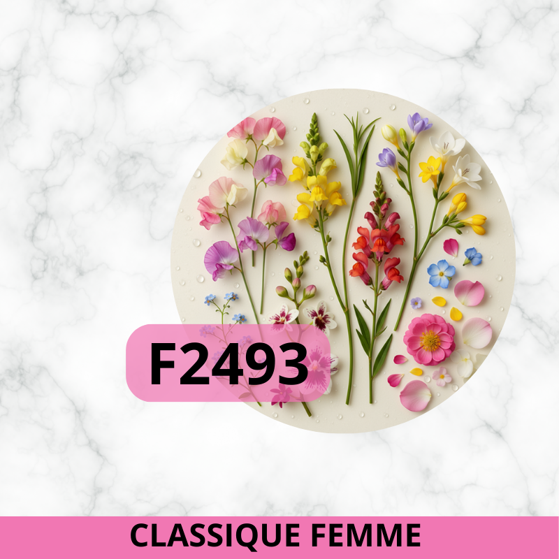 F2493 - Solis