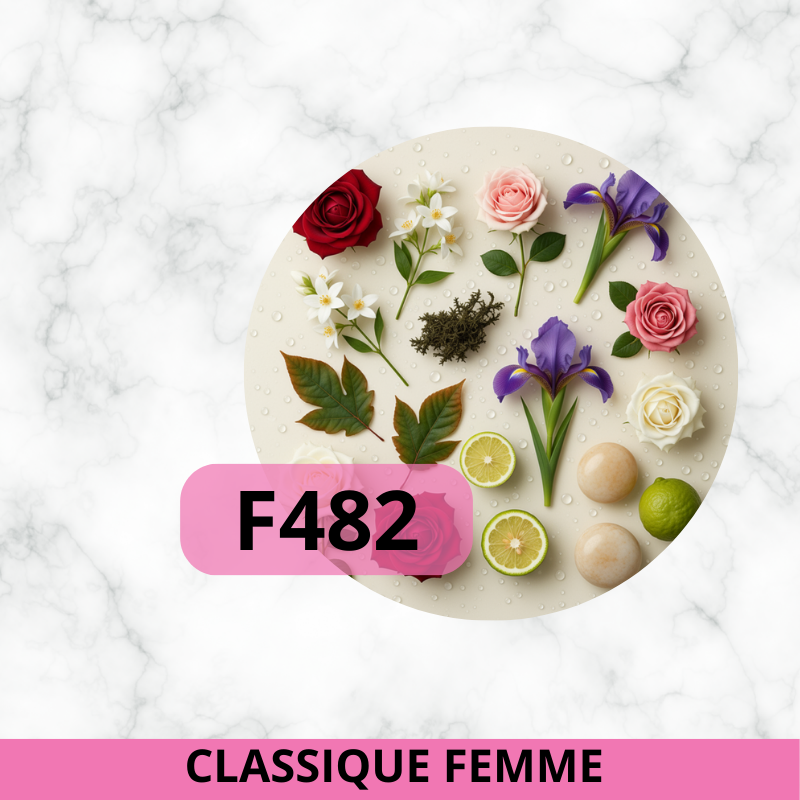 F482 - Capitale